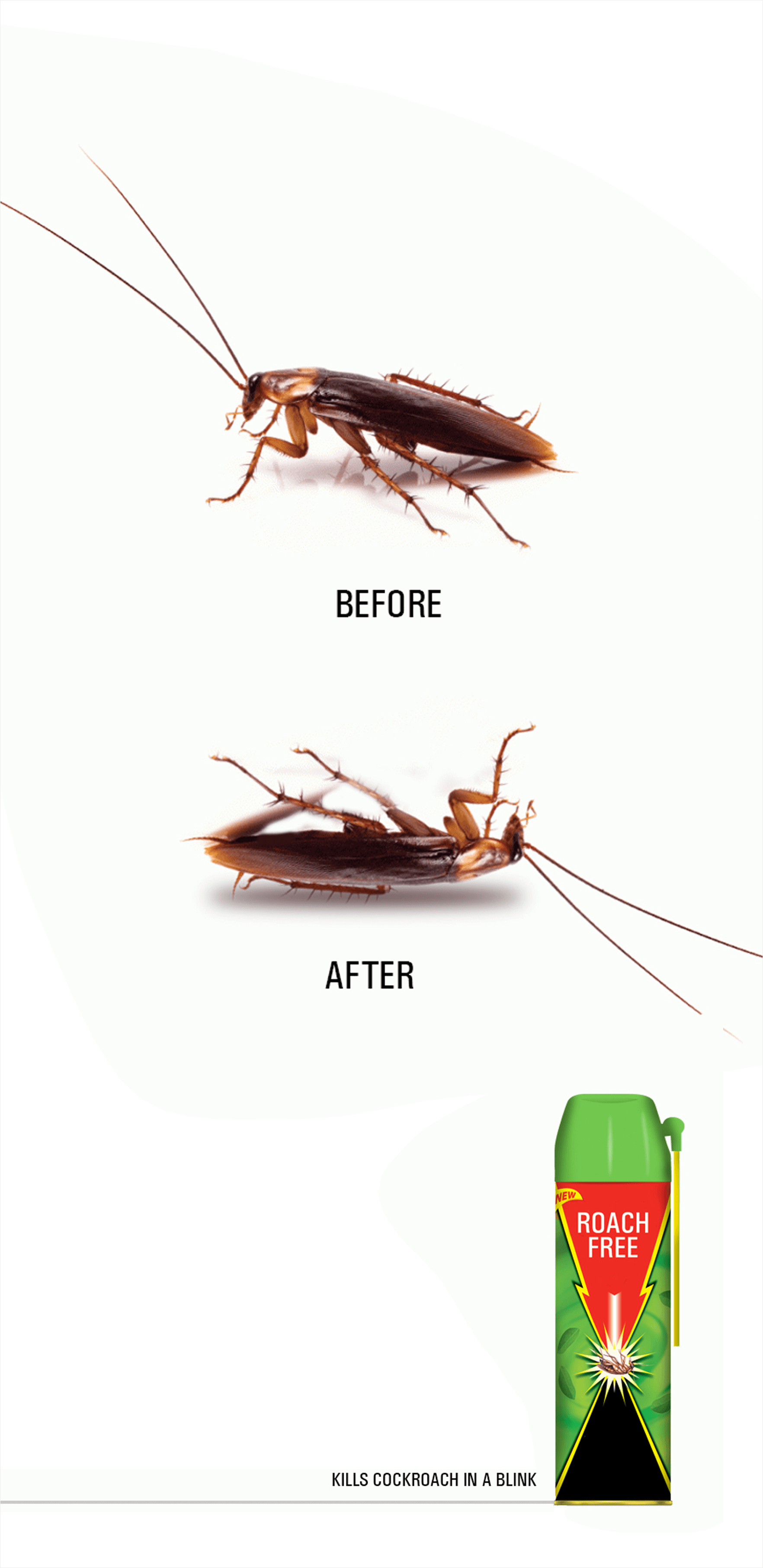pest spray design